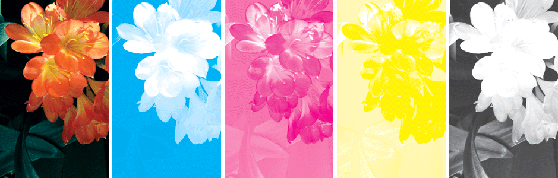 image011.gif